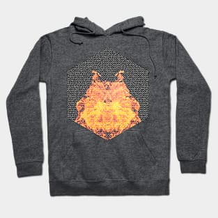 Fire hexagon abstract - Fire sign - The Five Elements Abstract  Symbol Hoodie